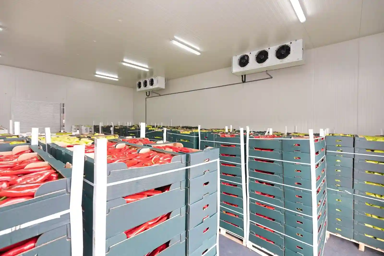Farm & Sourcing